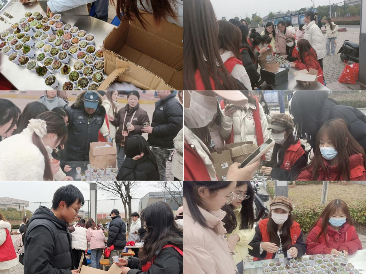 图片36.png