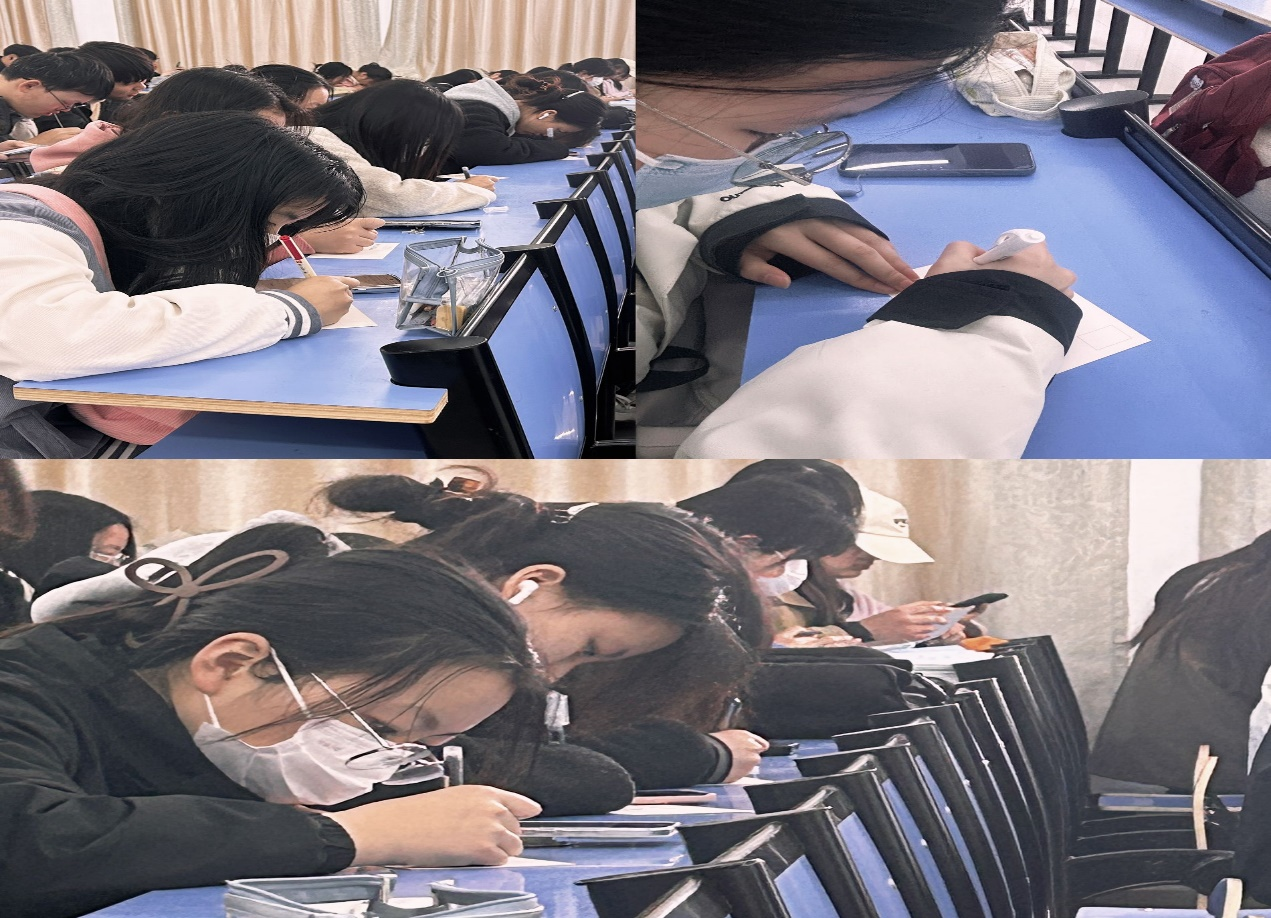图片13.png