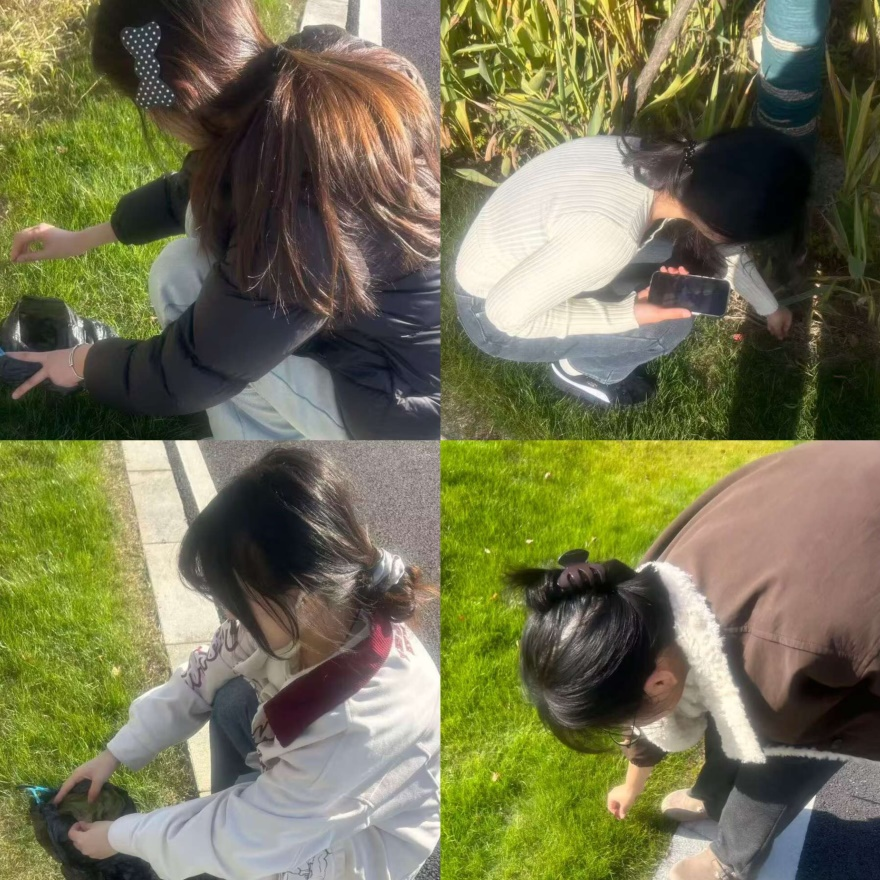 图片1.png 图片1.png