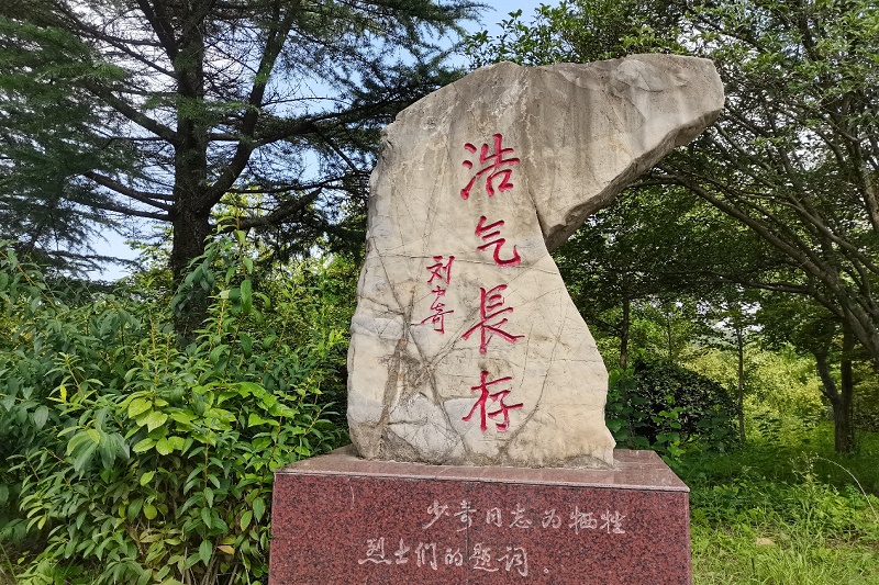 图片5.jpg