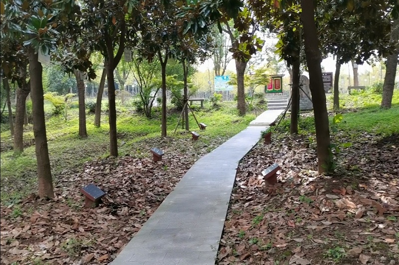 图片6.jpg
