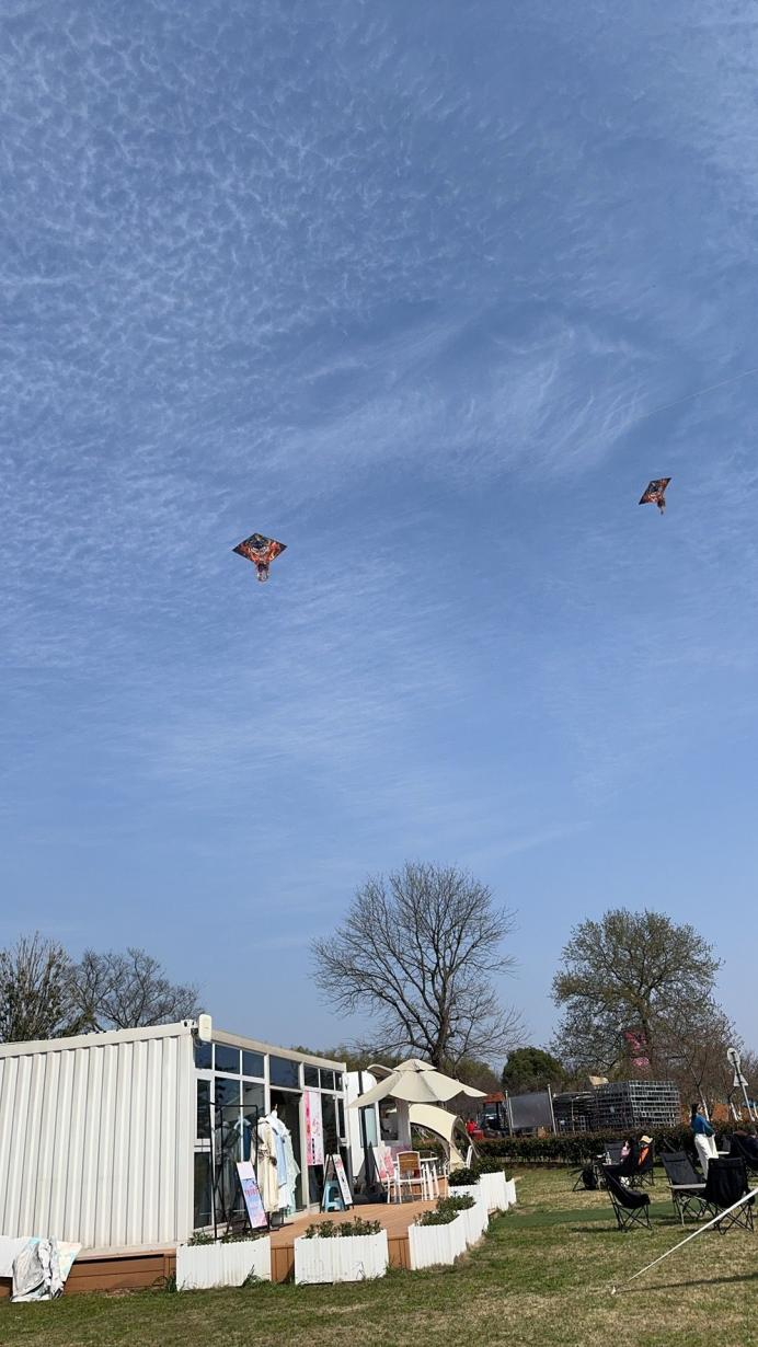 图片11.png 图片11.png