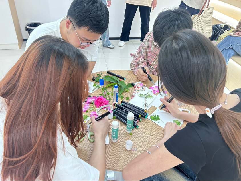 图片8.png 图片8.png