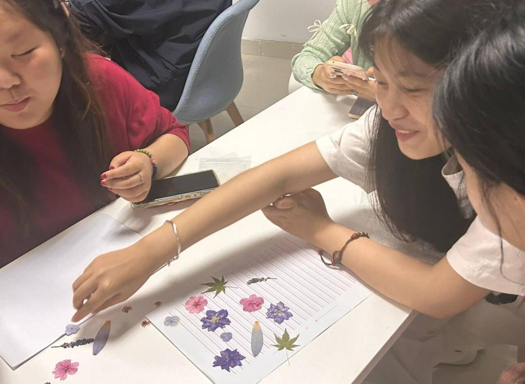 图片3.png 图片3.png