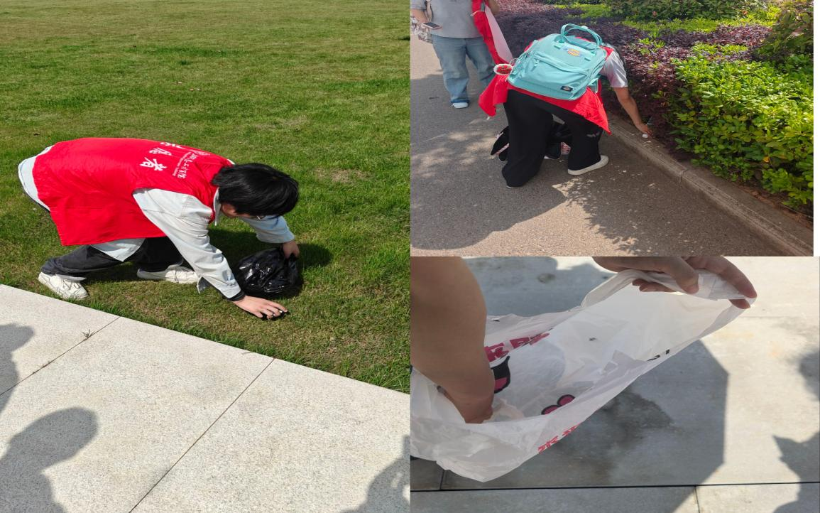 图片5.png 图片5.png